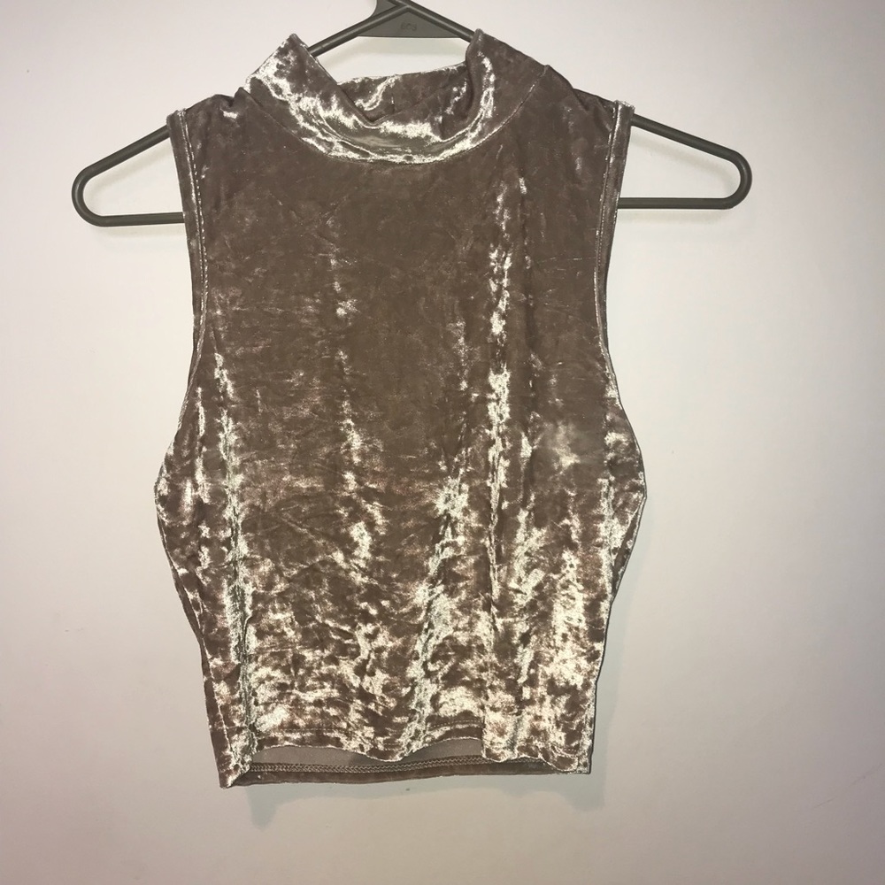 Nude Mock Neck Crushed Velvet Crop Top